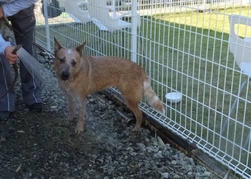 2014_101910-19ティキ