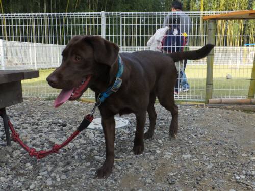 2014_102610-23ララ