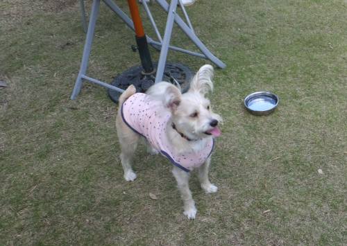 2014_102510-22コタロウ