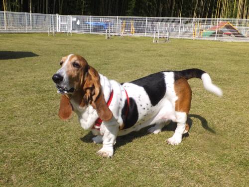 2014_102410-21マロンちゃん