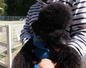 2014_101910-19もぐちゃん