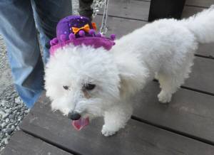 2014_101110-11タッキー