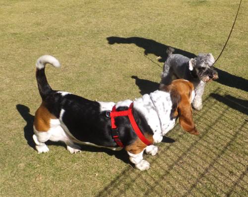 2014_102810-25まろんハロ