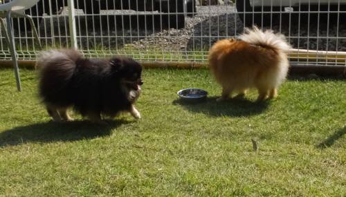 2014_100710-7まりんまりあ