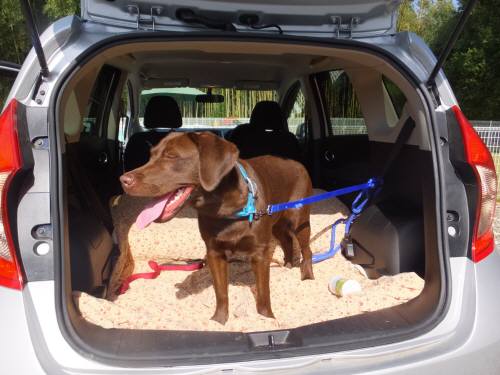 2014_102410-21ららちゃん