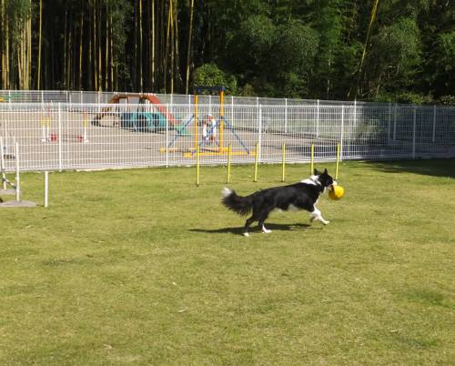 2014_101010-9ボーダー2