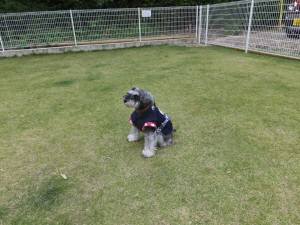 2014_101210-12らんらん