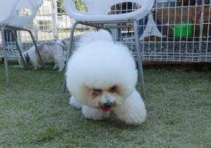 2014_101910-19アムちゃん