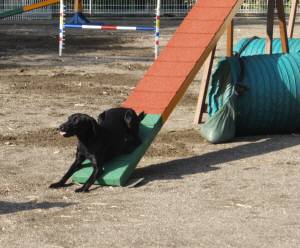 2014_102410-21ハル