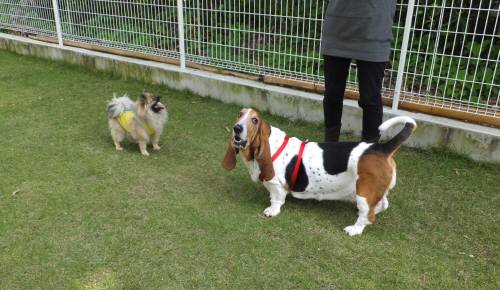 2014_100810-8ポンマロン