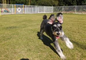 2014_101710-1まるちゃん2