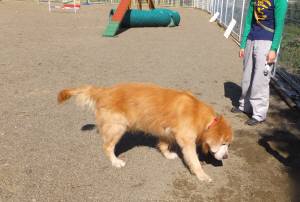 2014_101910-19虎太郎