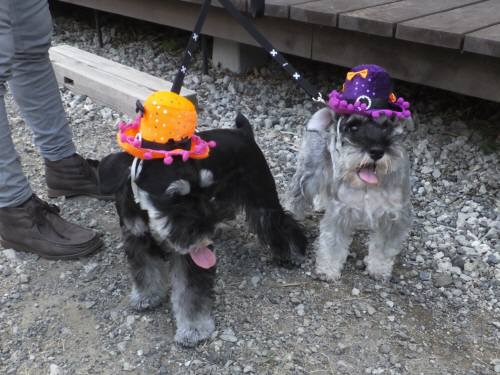 2014_100810-8クレアルネア