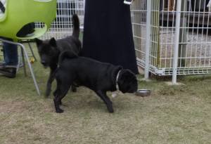 2014_101210-12てん