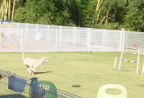 2014_101410-14なっちゃん