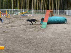 2014_102110-20ハル2