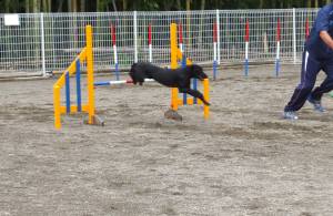 2014_102110-20ハル１