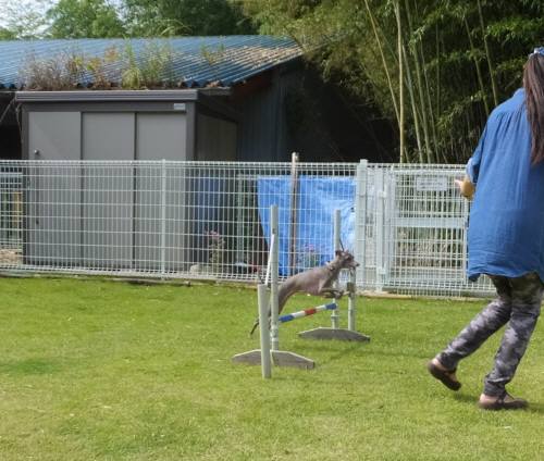 2014_101010-9マーブル