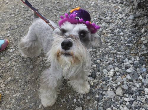 2014_100810-8マーベ2