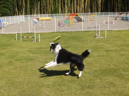 2014_101010-9ボーダー