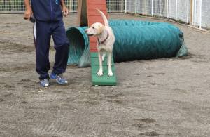 2014_102110-20なっつ1