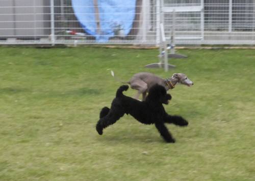 2014_100110-1トムもぐ