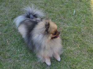 2014_100710-7-2みらい