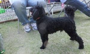 2014_101110-11ウルー