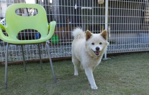 2014_102510-22モモ