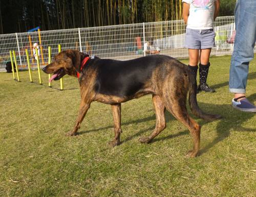 2014_102610-23マリア