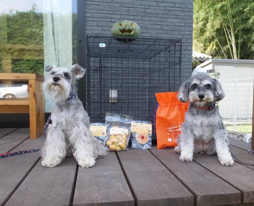 2014_100810-8マーヤマーベ