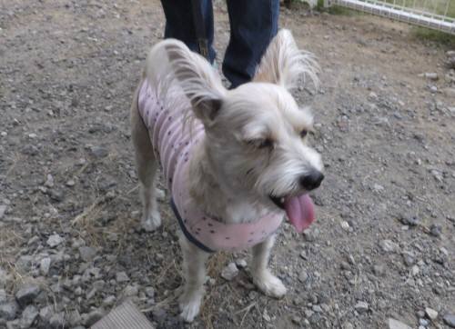 2014_100310-2こたろう