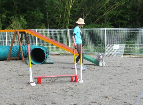 2014_100810-8マーベ1