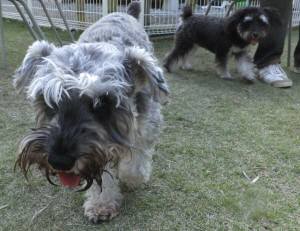 2014_101910-19シュート