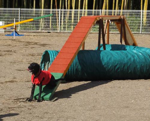 2014_101710-1はるちゃん