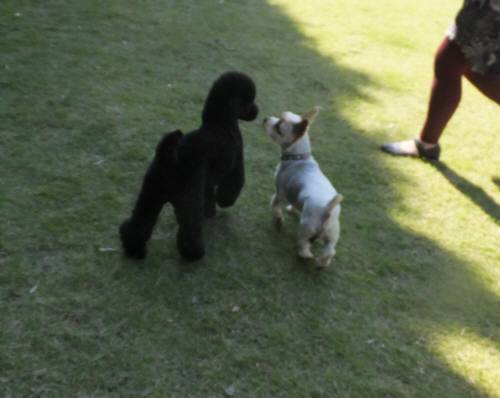 2014_101910-19もぐしんちゃん