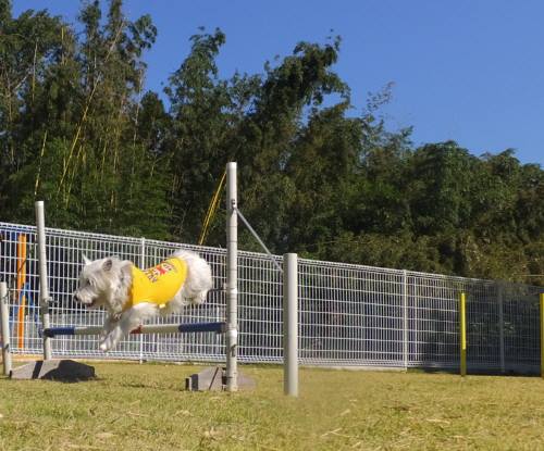 2014_102910-26モモ