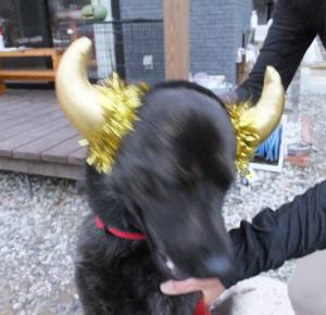 2014_100810-8さくら１