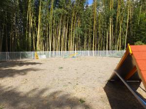 2014_101410-14台風後