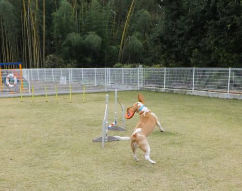 2014_111011-8むさし２