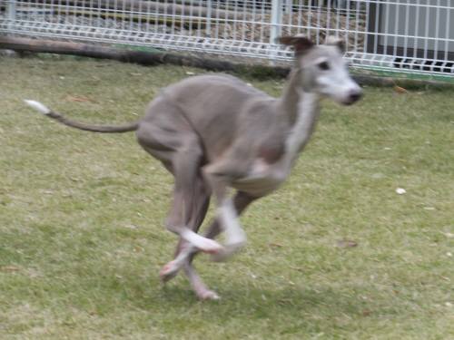 2014_111111-10とむ