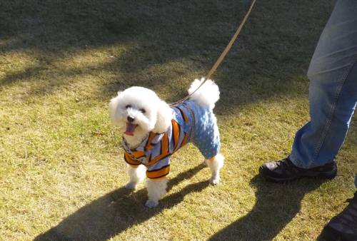 2014_112211-20タッキー