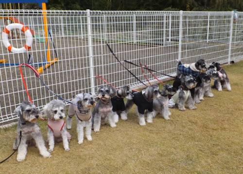 2014_113011-25集合２