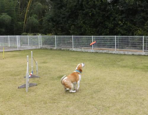 2014_111011-8むさし１