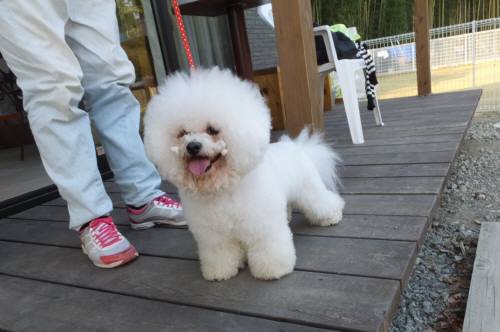 アムル2014_112411-220005