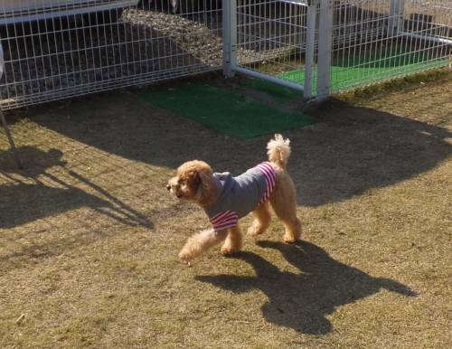 2014_112411-210033ソラ