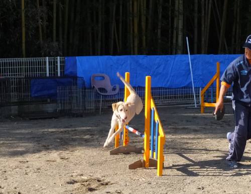 2014_111011-9なっつ