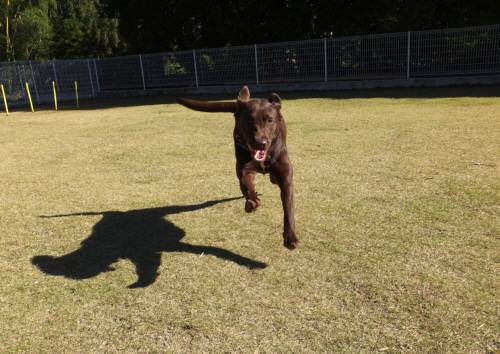 2014_111411-12ララ