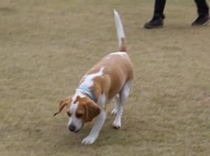 2014_113011-25むさし