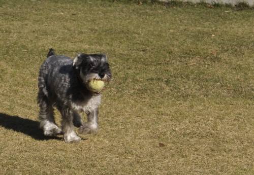 2014_111611-16ルナ